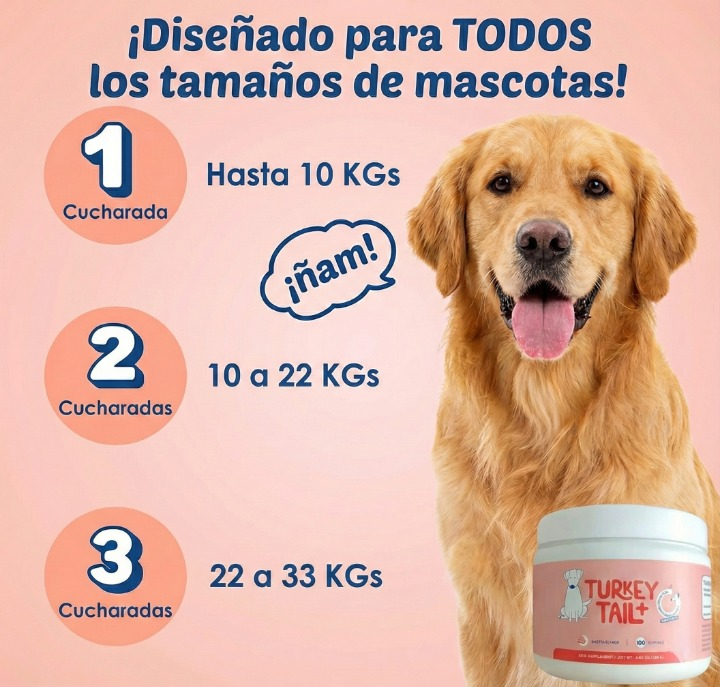 InmunoDog